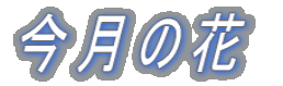 ̉